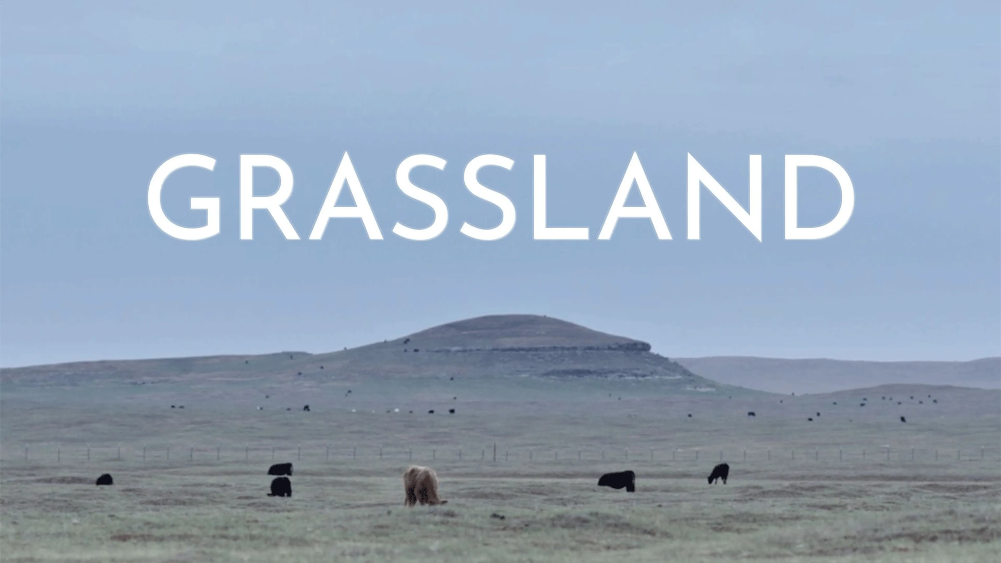 Grassland poster